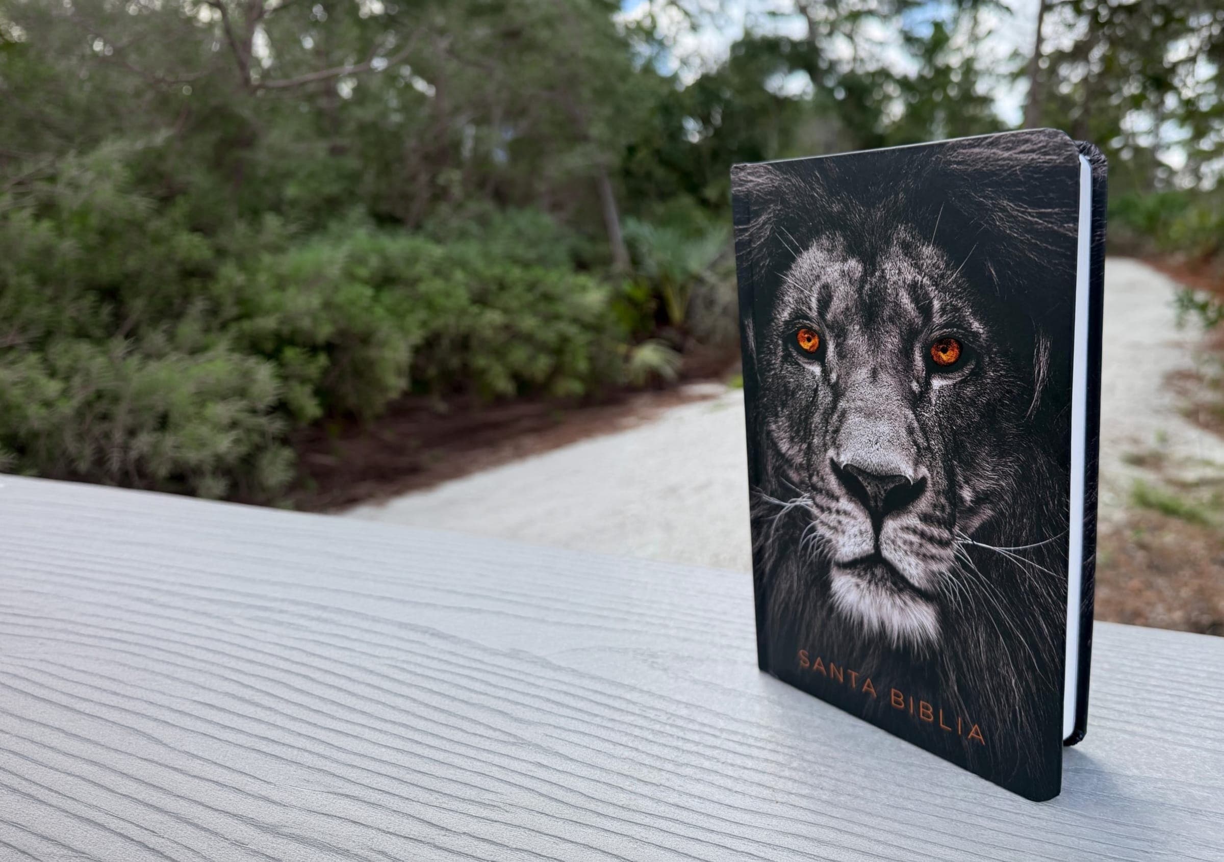 Santa Biblia con portada de un león, de pie sobre una baranda junto a un sendero