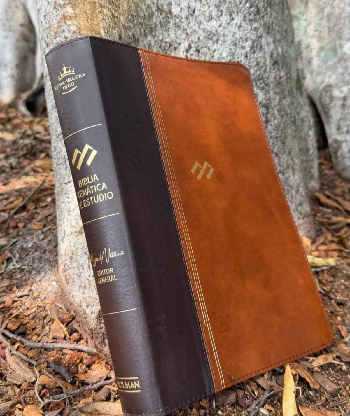 Biblia Temática de Estudio con cubierta bitono marrón